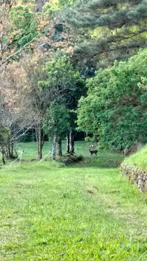 Estalagem Reserva Da Collina Gramado Kültér fotó