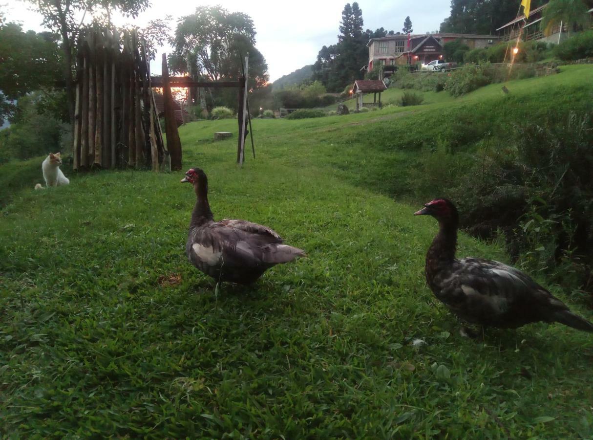 Estalagem Reserva Da Collina Gramado Kültér fotó