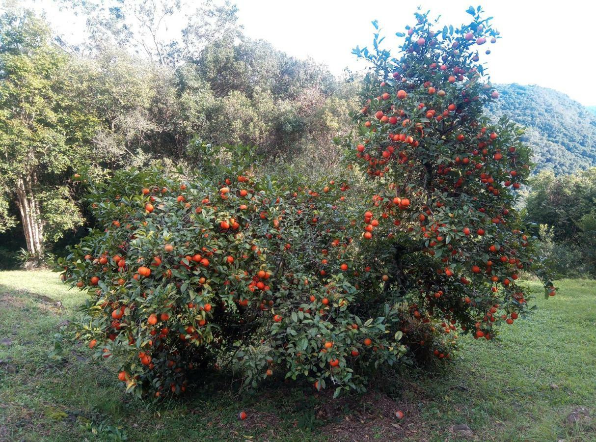 Estalagem Reserva Da Collina Gramado Kültér fotó
